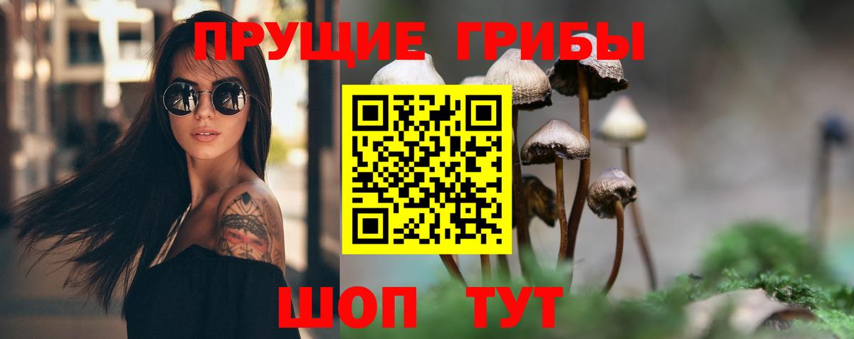 Псилоцибиновые грибы мицелий Бирск